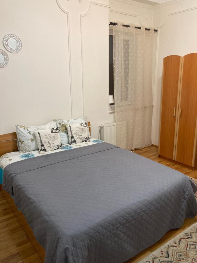 Irina Apartments Питешти Экстерьер фото