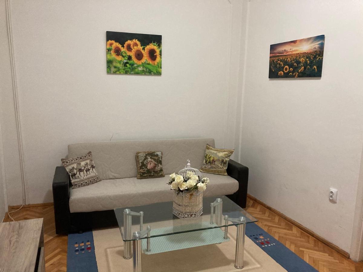 Irina Apartments Питешти Экстерьер фото